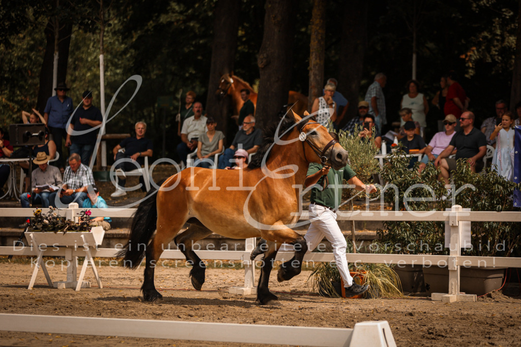 2.Sa00076 | Leoni Ertmer Photography - Realisiert mit Pictrs.com