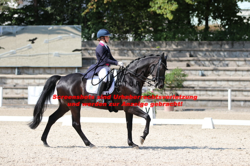 IMG_9437 | lmwpictures - Realisiert mit Pictrs.com