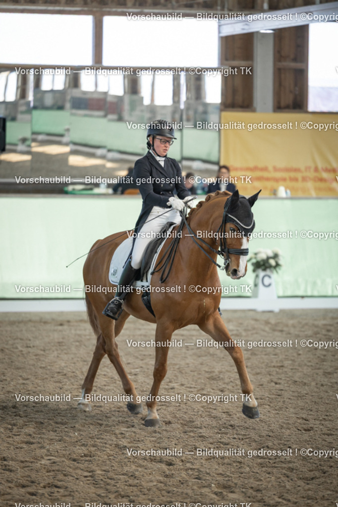 _D5A0446 | Emotionale Pferde- & People-Fotografie rund um Heidelberg, Leimen & Umgebung. Natürliche Fotos von Pferd, Mensch & Familie. Jetzt Termin sichern!