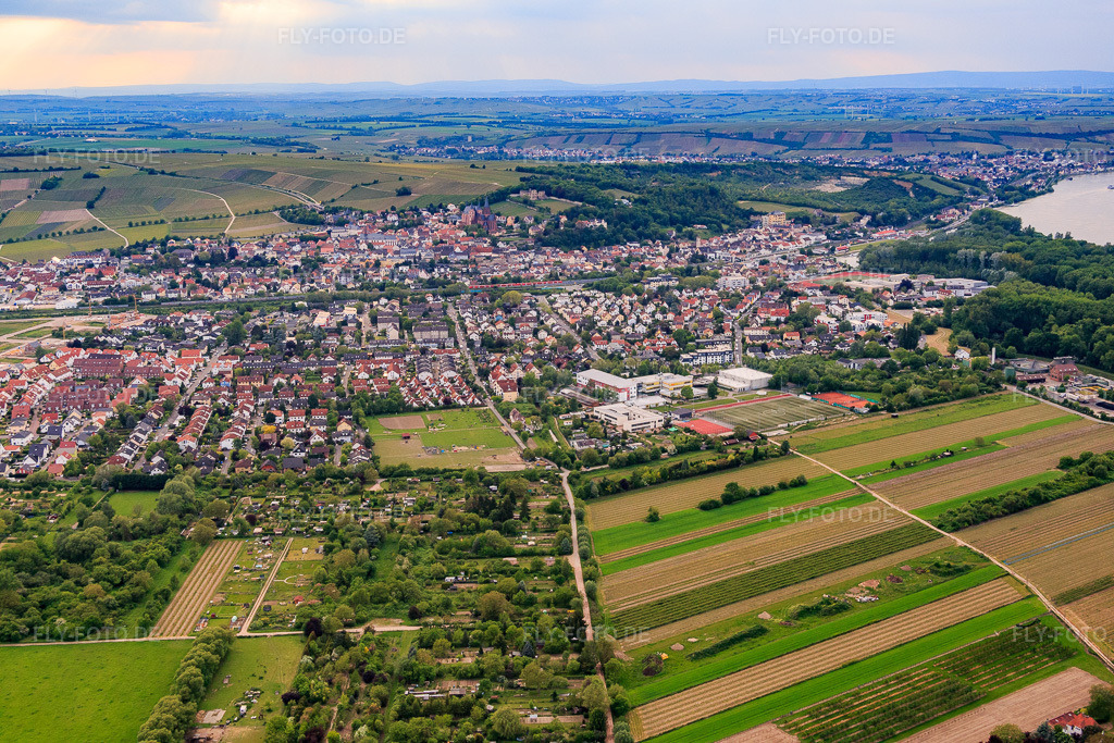 Luftbild: Tiergarten Oppenheim in Oppenheim im Bundesland Rheinland-Pfalz in Deutschland. – Foto: IMG_088474.jpg vom 17.05.2016 durch Werner Riehm/FLY-FOTO.de – Auflösung des Originals: 5472 x 3648 px – Tiergarten Oppenheim | TierGarten Oppenheim