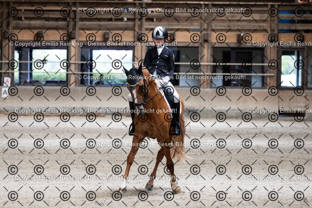 CL5A4029 | Emilia Reinking Fotografie - Realisiert mit Pictrs.com