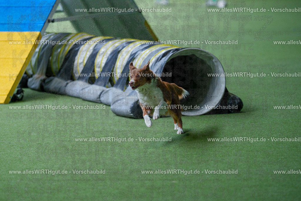 @allesWIRTHgut_Tierfotografie - www.allesWIRTHgut.de - 2604251226-7R501726 | Professionelle Tierfotografie in Mönchengladbach von Daniel Wirth (allesWIRTHgut). Liebevolle & natürliche Bilder von Hunden & Katzen für unvergessliche Erinnerungen.