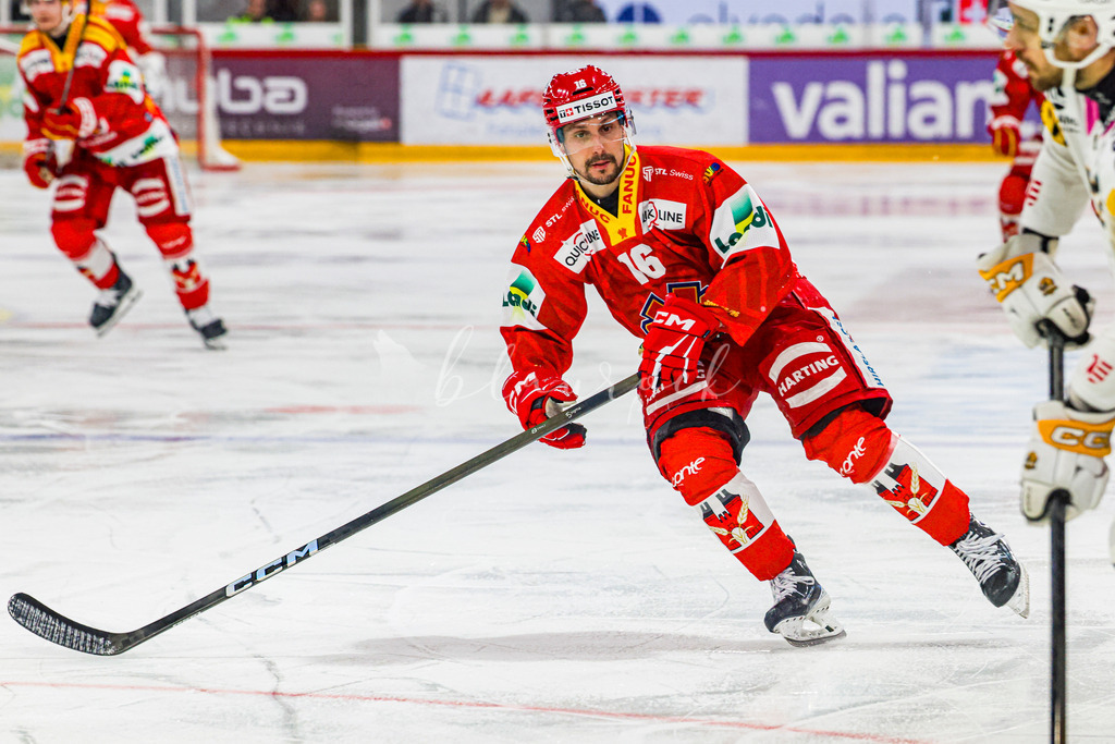 EHCB vs HCA 20260127_wb-9194 | Sportbilder, Sportfotograf, Hochzeits- und Eventfotografin, Flugshows, Portraits und Tiershooting, Aviation, Downhill, Nationalleague, Swissleague, International