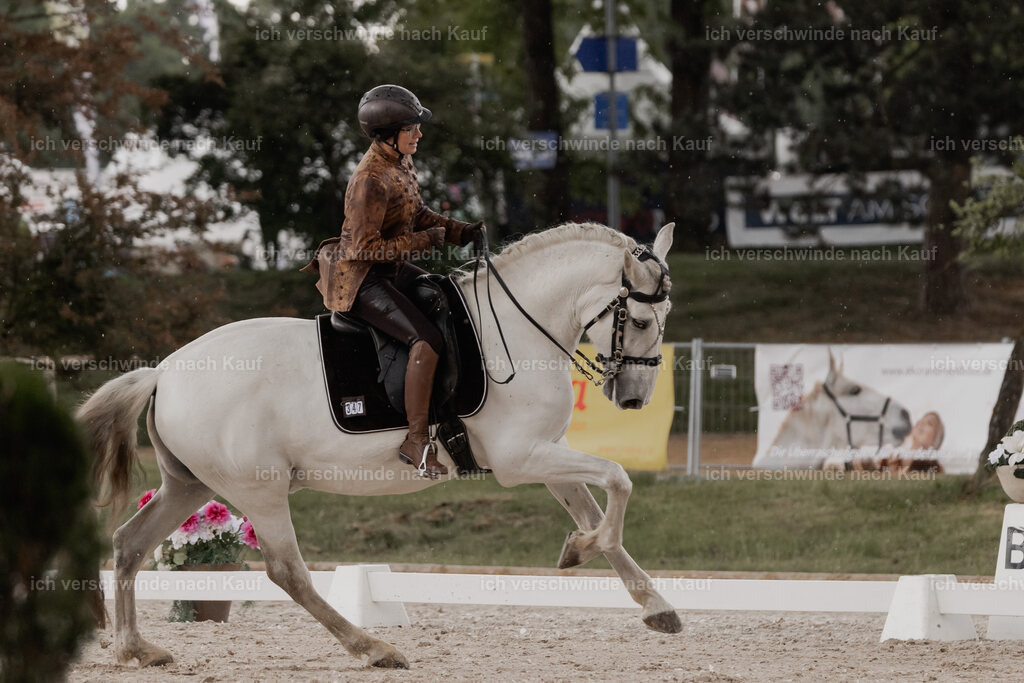 WE_DR_Stoib_347_PI2025_219 | Pferd International München 2025