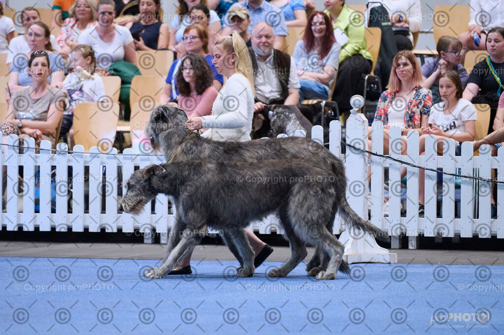 202406_ÖKV-IHA-Tulln24_DSC_3693 | proPHOTO - Realisiert mit Pictrs.com