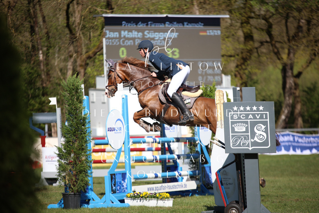 IMGT0439 | pl-fotografie