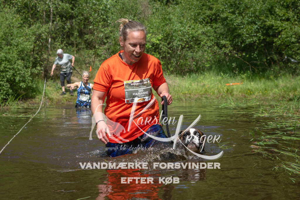 1203DKK991667 | kk-dogfotos