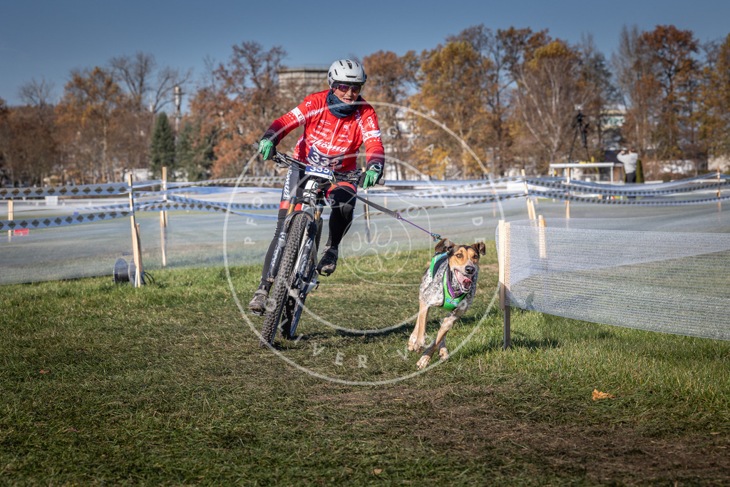CaniXpix_0L8A5861 | Hundefotografie, Tierfotograf, Pfotenfotografie, Fotoshooting Hund, Hunde Portrait, Hundesport, Hundeportraits, Heideshooting, Hunde, Sportfotograf, Hundefotograf, Turnierhundsport, THS,  - Realisiert mit Pictrs.com