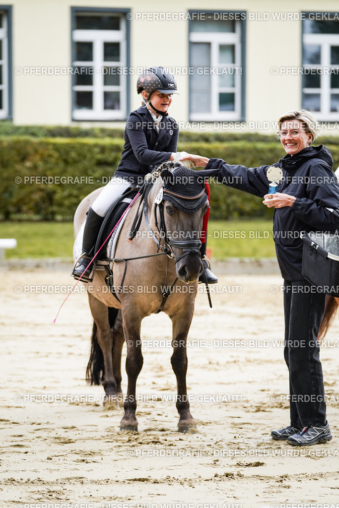 DSC05760 | Pferdegrafie