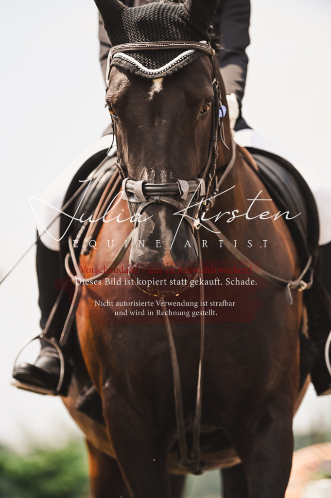 DSC_6261 | Pferde- und Turnierfotografie in Westsachsen. Pferdeportraits, Auftragszeichnungen und intuitive Kunst.