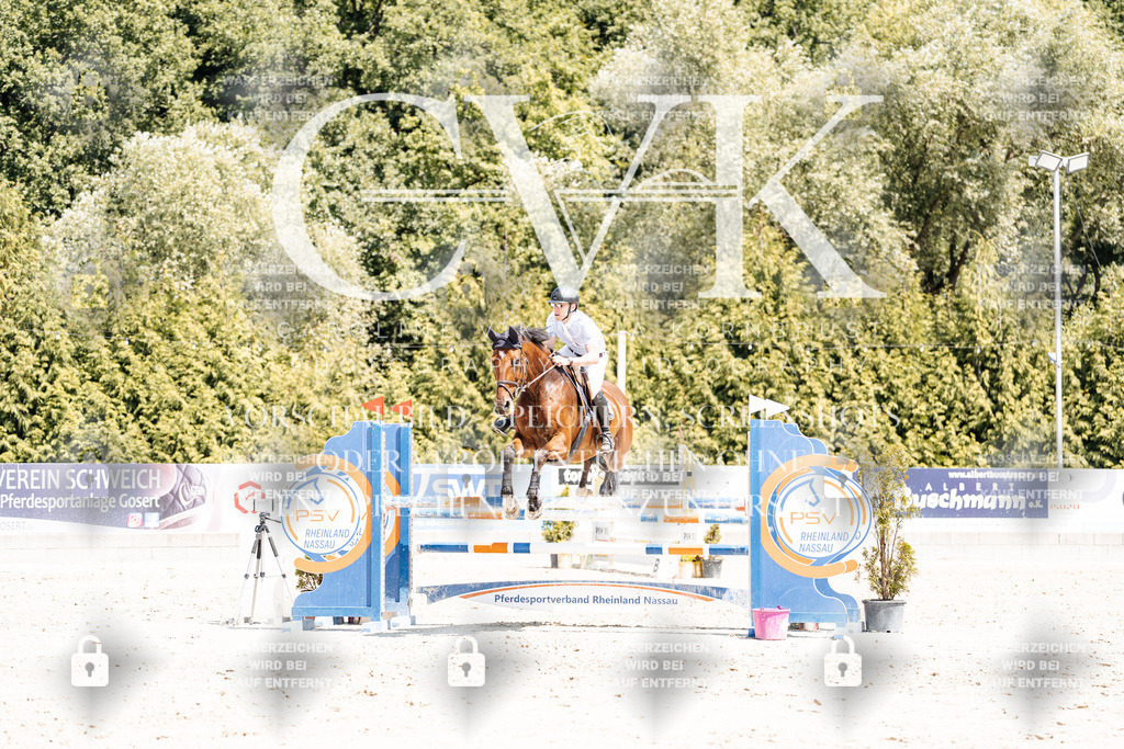 CK900550 | Turnierfotografie Pferdefotografie Trier Rheinland-Pfalz Pferdesport Reitsport Tierfotografie Sportfotografie Pferdevideo Pferdevideografie Equestrianvideography equestrianphotography  - Realisiert mit Pictrs.com