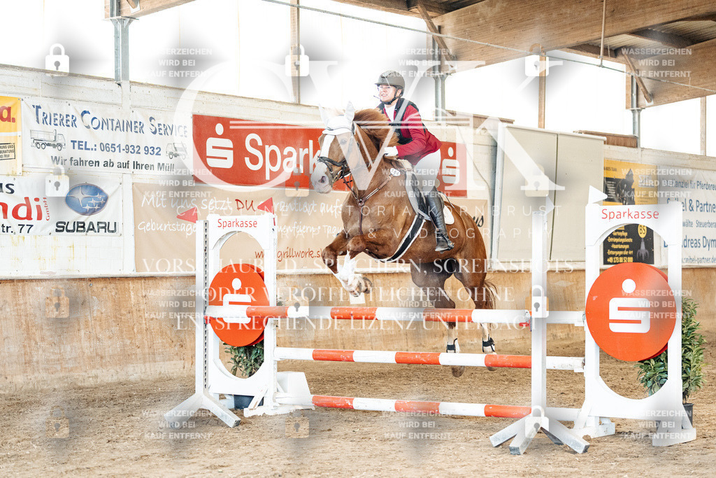 CK904995 | Turnierfotografie Pferdefotografie Trier Rheinland-Pfalz Pferdesport Reitsport Tierfotografie Sportfotografie Pferdevideo Pferdevideografie Equestrianvideography equestrianphotography  - Realisiert mit Pictrs.com