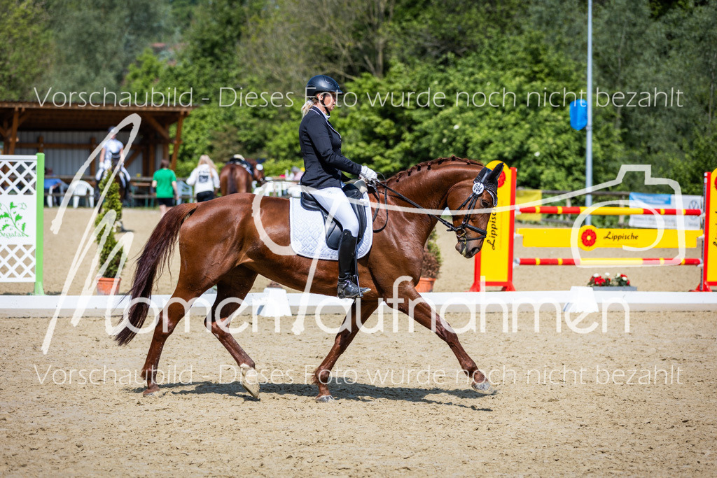 Donop24-L-Dre-053 | MomenTaufnahmen Pferdesportfotos