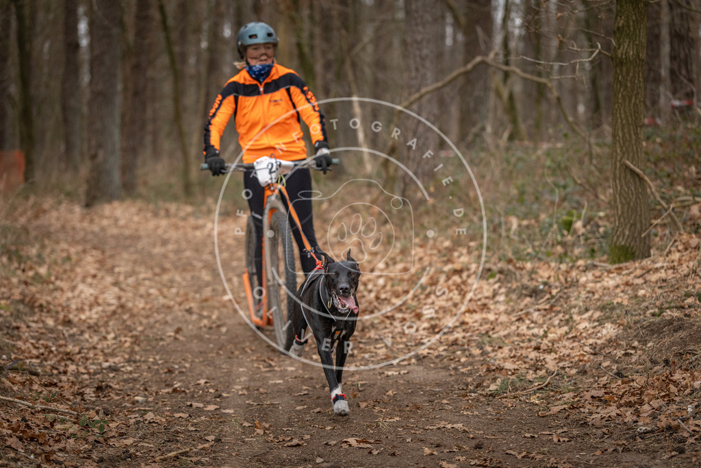 Pfotenfotografie_DV3A7627 | Hundefotografie, Tierfotograf, Pfotenfotografie, Fotoshooting Hund, Hunde Portrait, Hundesport, Hundeportraits, Heideshooting, Hunde, Sportfotograf, Hundefotograf, Turnierhundsport, THS,  - Realisiert mit Pictrs.com