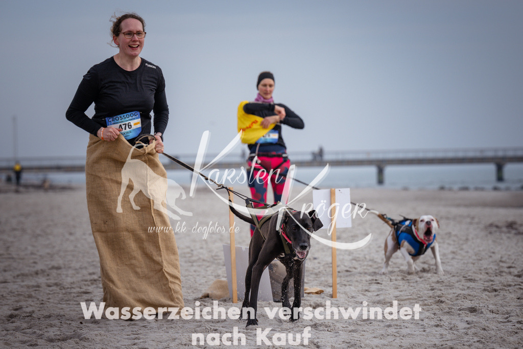1151_ZZ91095 | kk-dogfotos