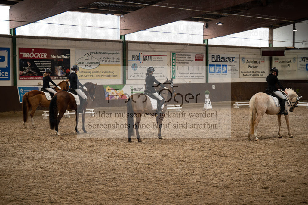 Hallenreittunier Voxtrup 2023 | Entdecke hochwertige Reitturnierfotos von Foto Oger. Professionell, emotional und authentisch – jetzt Lieblingsmomente im Shop bestellen.Deutschlandweite Turnierfotografie. - Realisiert mit Pictrs.com