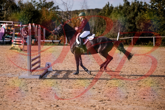 2026_10_03_Siefer-Hof_154922_Z81_68000866 | Professionelle Reitsport-, Turnier- und Eventfotografie von Robert Broda. Galerien mit ausgewählten und bearbeiteten Bildern direkt online ansehen und bestellen.