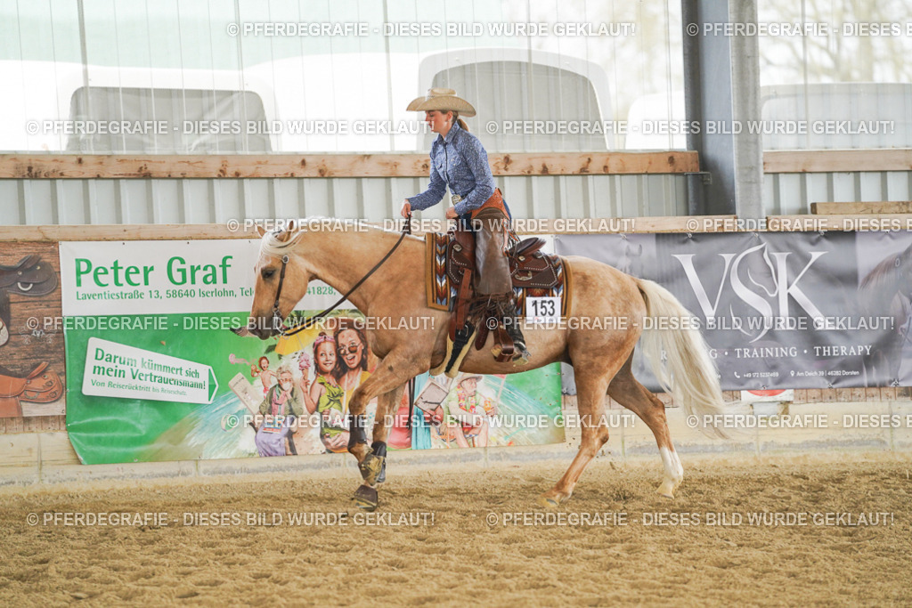 DSC05902 | Pferdegrafie