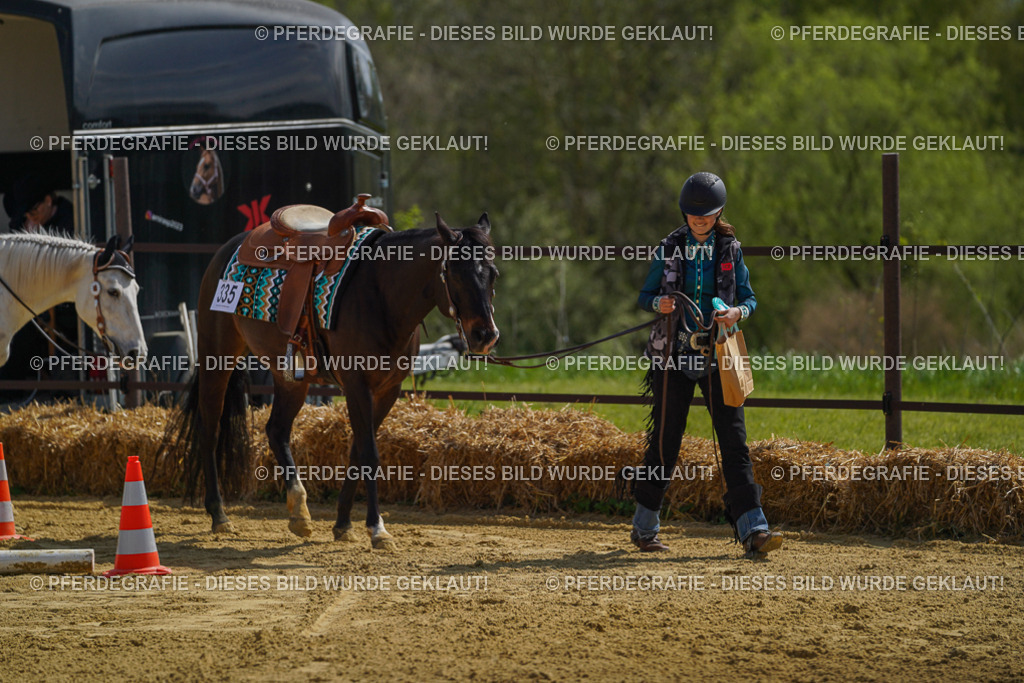 DSC04815 | Pferdegrafie