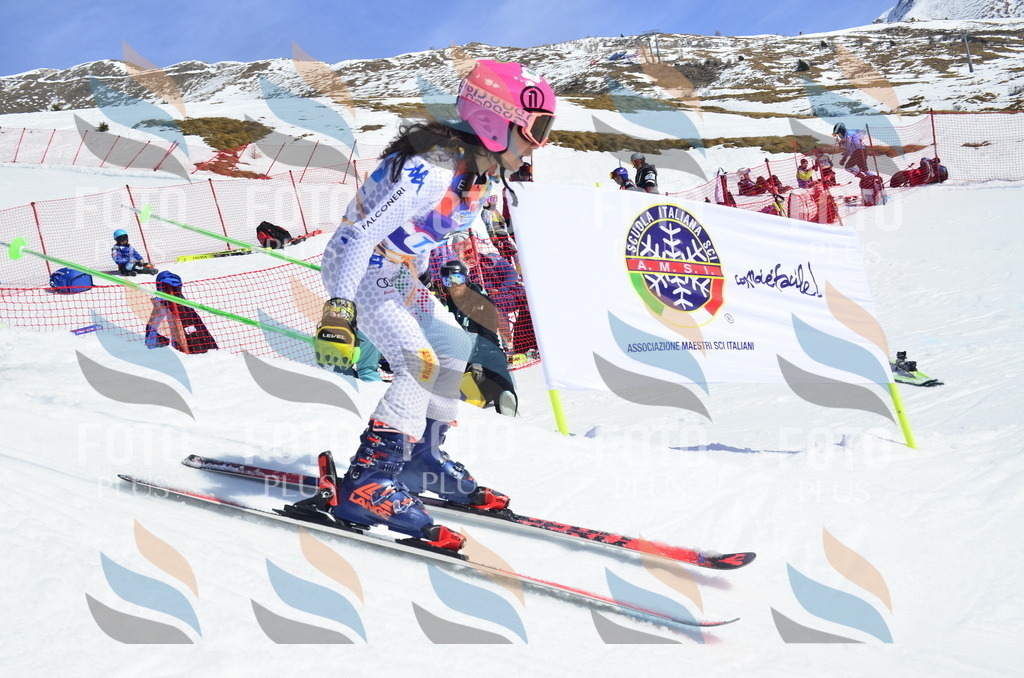 _ELE0842 | holidayphoto