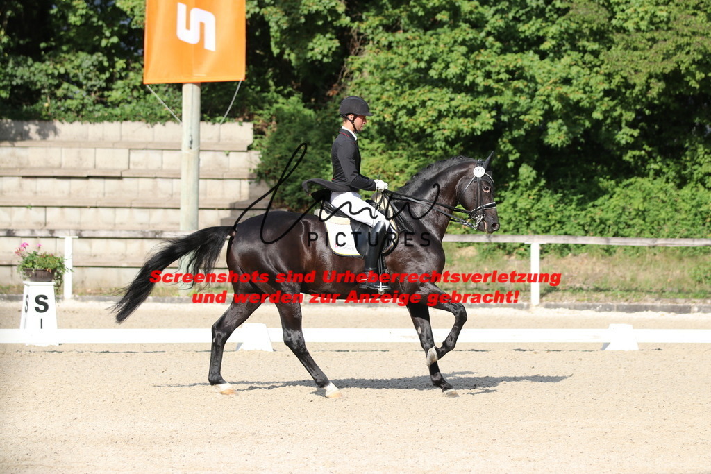 IMG_6347 | lmwpictures - Realisiert mit Pictrs.com