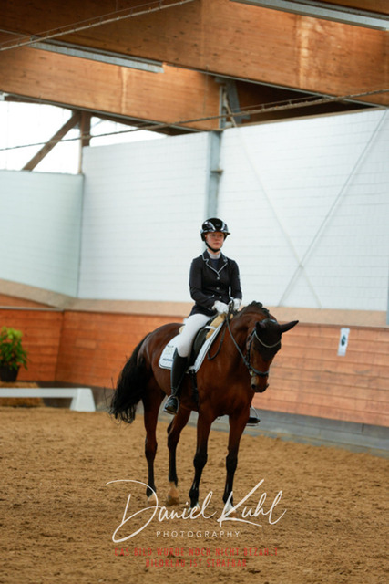 _62_6023 | Turniersportfotografie; Pferdefotografie; Dressurfotografie