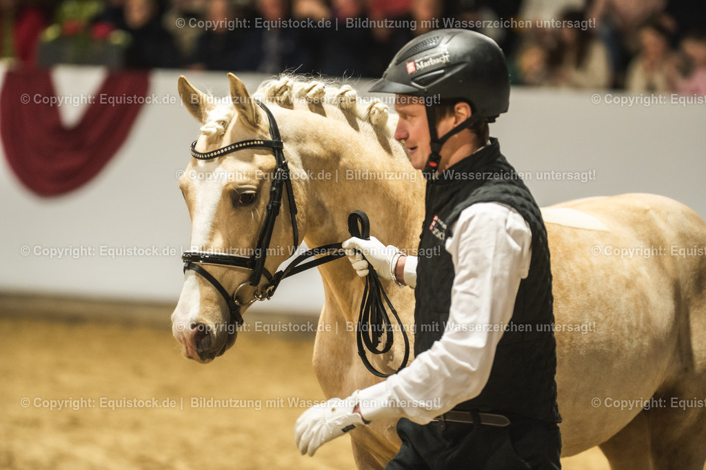 20240302_Hengstvorstellung_Marbach_TOMsPiC_0812 | equistock