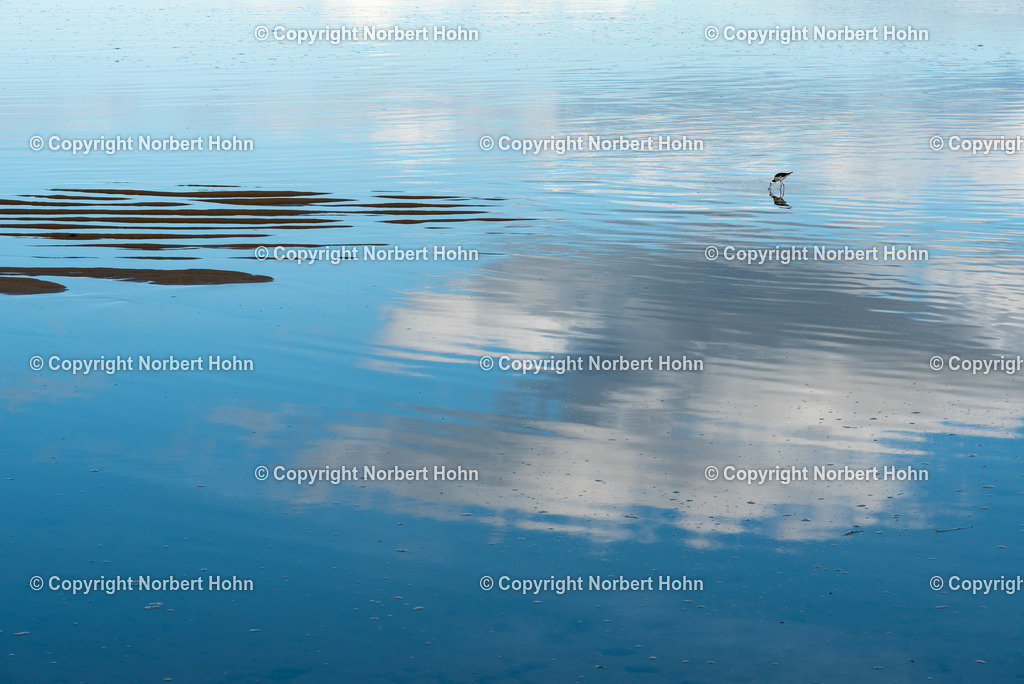 Reisefotografie - Australien - Fünfter Kontinent | Stilleben mit Wasserspiegelungen an einem See in der Golden Bay auf der neuseeländischen Südinsel. - Realisiert mit Pictrs.com