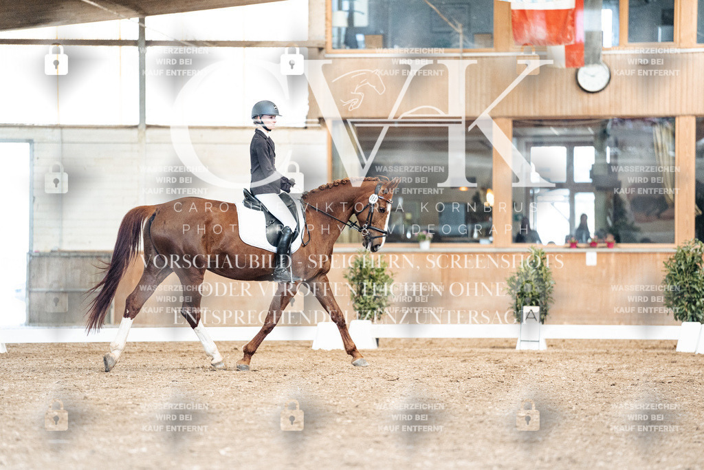 CK900984 | Turnierfotografie Pferdefotografie Trier Rheinland-Pfalz Pferdesport Reitsport Tierfotografie Sportfotografie Pferdevideo Pferdevideografie Equestrianvideography equestrianphotography  - Realisiert mit Pictrs.com