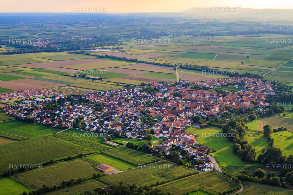 Ortsansicht von Nordosten | Luftbild: Ortsansicht von Nordosten in Steinweiler im Bundesland Rheinland-Pfalz in Deutschland. Foto: IMG_32893.jpg vom 03.09.2010 durch Werner Riehm/FLY-FOTO.de - Realisiert mit Pictrs.com