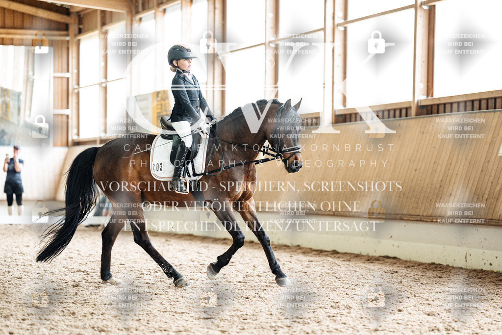 CK901665 | Turnierfotografie Pferdefotografie Trier Rheinland-Pfalz Pferdesport Reitsport Tierfotografie Sportfotografie Pferdevideo Pferdevideografie Equestrianvideography equestrianphotography  - Realisiert mit Pictrs.com