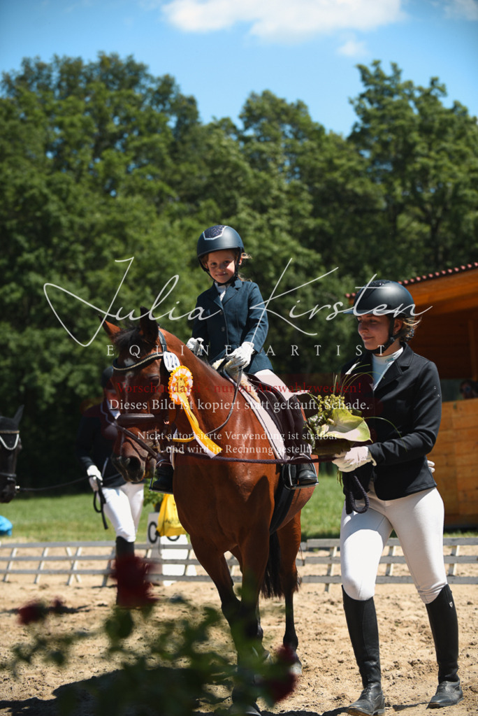 DSC_2129 | Pferde- und Turnierfotografie in Westsachsen. Pferdeportraits, Auftragszeichnungen und intuitive Kunst.
