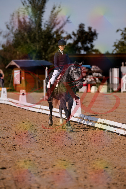 2026_10_03_Siefer-Hof_120026_Z81_02072348 | Professionelle Reitsport-, Turnier- und Eventfotografie von Robert Broda. Galerien mit ausgewählten und bearbeiteten Bildern direkt online ansehen und bestellen.
