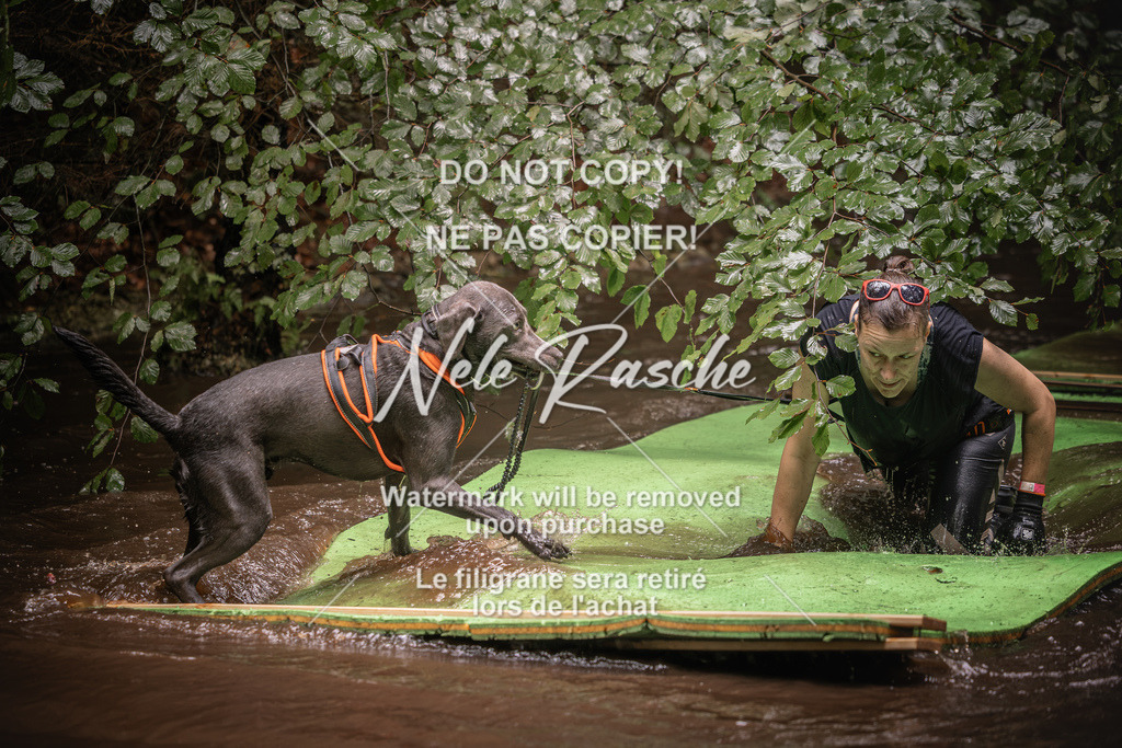 nelerasche_Wingst_Sa1330-1400_357 | nelerasche