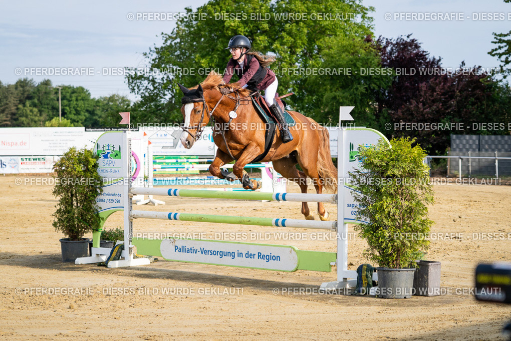 DSC02805 | Pferdegrafie