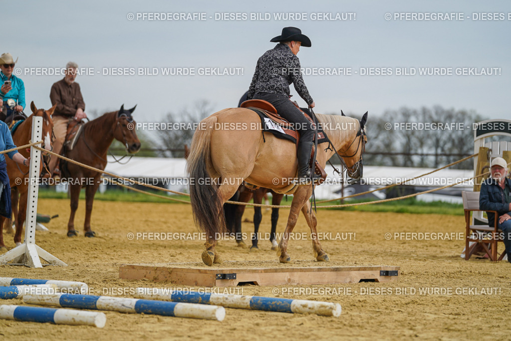 DSC02274 | Pferdegrafie