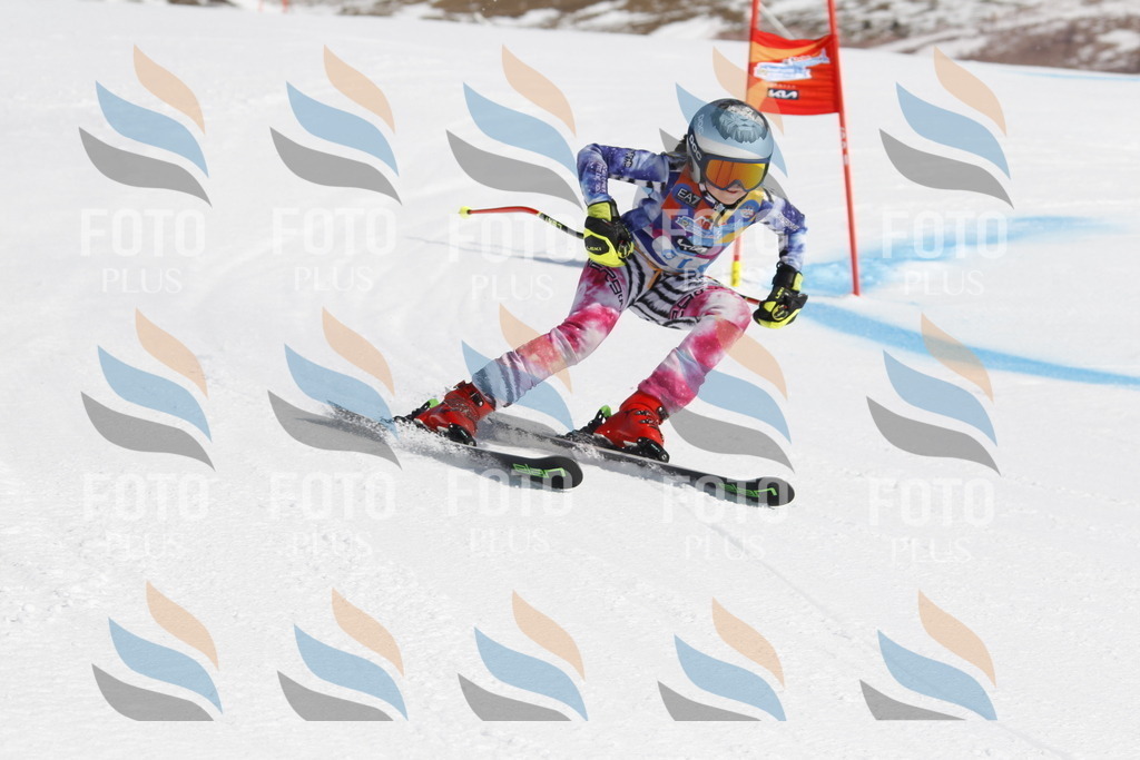 _U3G0023 | holidayphoto