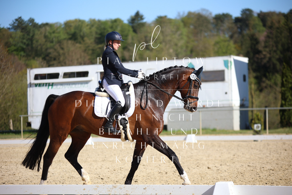 IMGT9060 | pl-fotografie