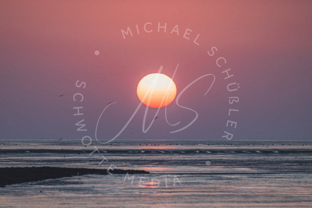 2024-09-05 Friedrichskoog Trischendamm Sonnenuntergang 025 | Schwotte Media - Realisiert mit Pictrs.com