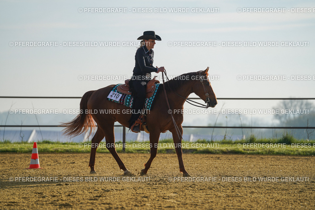 DSC00121 | Pferdegrafie