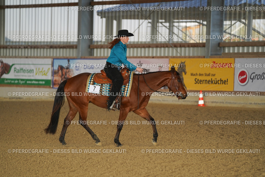 DSC08056 | Pferdegrafie