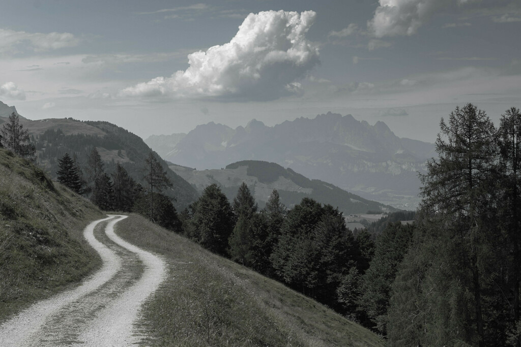 _W5A1196 | Sich an die einzigartigen Momente der Natur und Landschaft sowie die Begegnung mit heimischen wilden Tieren zu erinnern, dies kann man anhand den Bilder der Natur und Landschaftsfotografin Sandra Eimermacher.  - Realisiert mit Pictrs.com