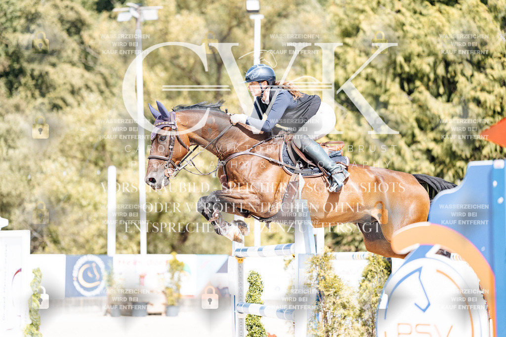 CK905207 | Turnierfotografie Pferdefotografie Trier Rheinland-Pfalz Pferdesport Reitsport Tierfotografie Sportfotografie Pferdevideo Pferdevideografie Equestrianvideography equestrianphotography  - Realisiert mit Pictrs.com