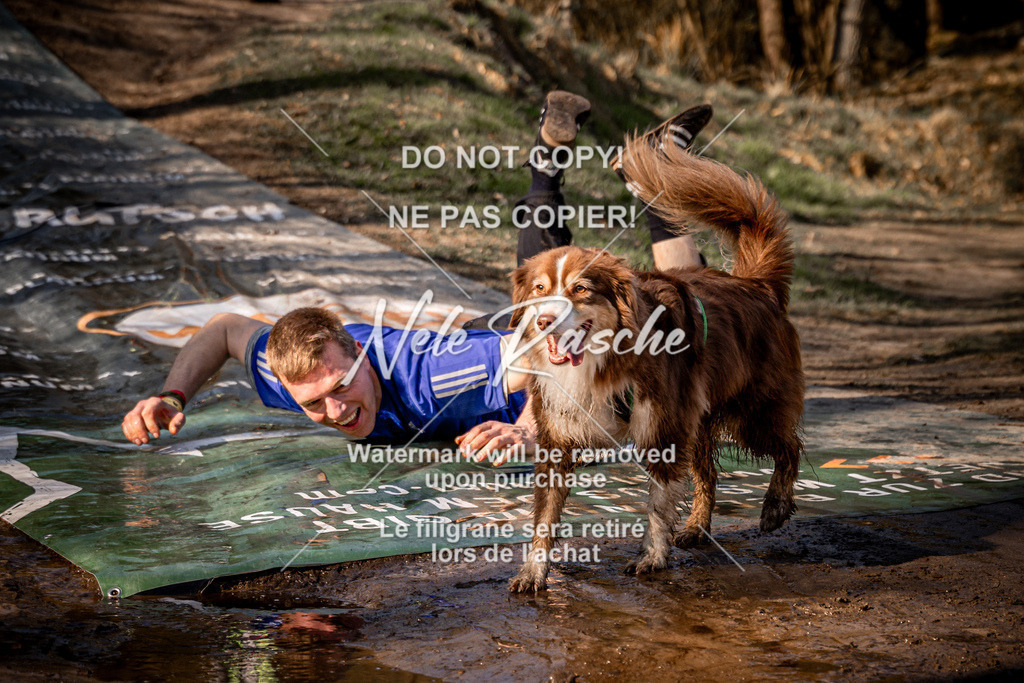 nelerasche_Hulsbeek_So1030-1100_167 | nelerasche