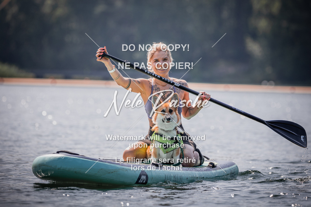 BUHU_SUP_469 | nelerasche