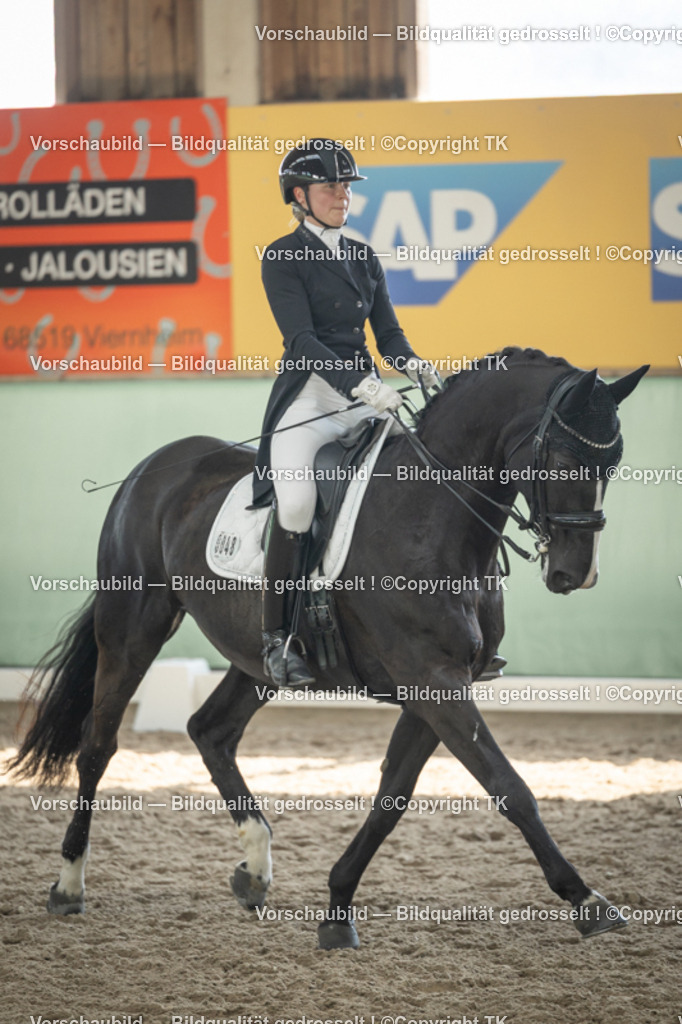 _D5A2091 | Emotionale Pferde- & People-Fotografie rund um Heidelberg, Leimen & Umgebung. Natürliche Fotos von Pferd, Mensch & Familie. Jetzt Termin sichern!