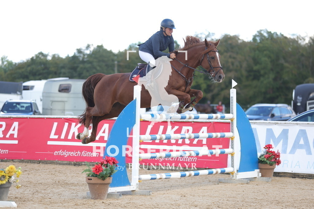 0P6A1388 | Willkommen bei Brunnmayr - Design & Fotografie – Ihrem Spezialisten für Reitturniere und Pferdeveranstaltungen in Oberösterreich, Salzburg und Bayern! Seit über 17 Jahren sind wir leidenschaftlich dabei.