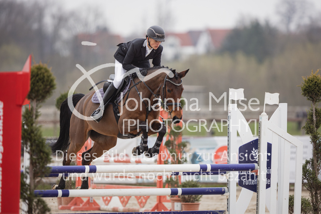 230408_Frühlingsfest_Stil-A2_LK5-6-735 | Deine schönsten Turniermomente als professionelle Fotos! Entdecke hochwertige Pferdesport-Fotografie im Online-Shop. Jetzt Fotos finden & bestellen!