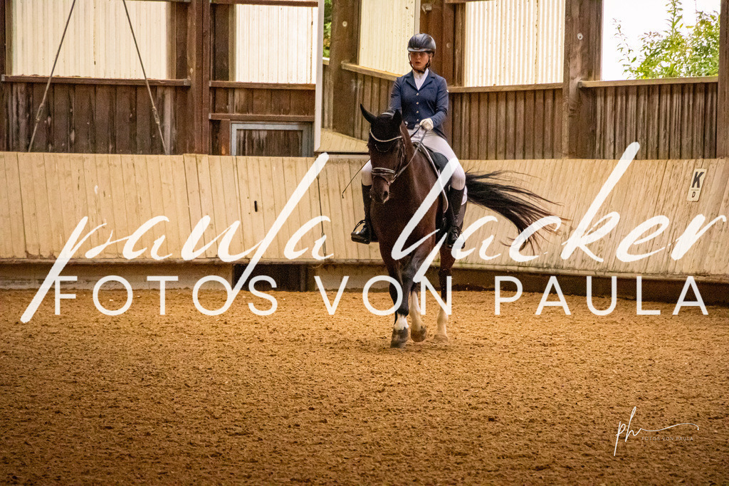IMG_9547 | Erleben Sie dynamische Sport- und emotionale Tierfotografie in Süddeutschland mit Fotos von Paula. Spezialisiert auf Pferde- und Hundefotografie sowie Sportevents. Kontaktieren Sie mich für einzigartige und ausdrucksstarke Bilder Ihrer besonderen Momente. - Realisiert mit Pictrs.com