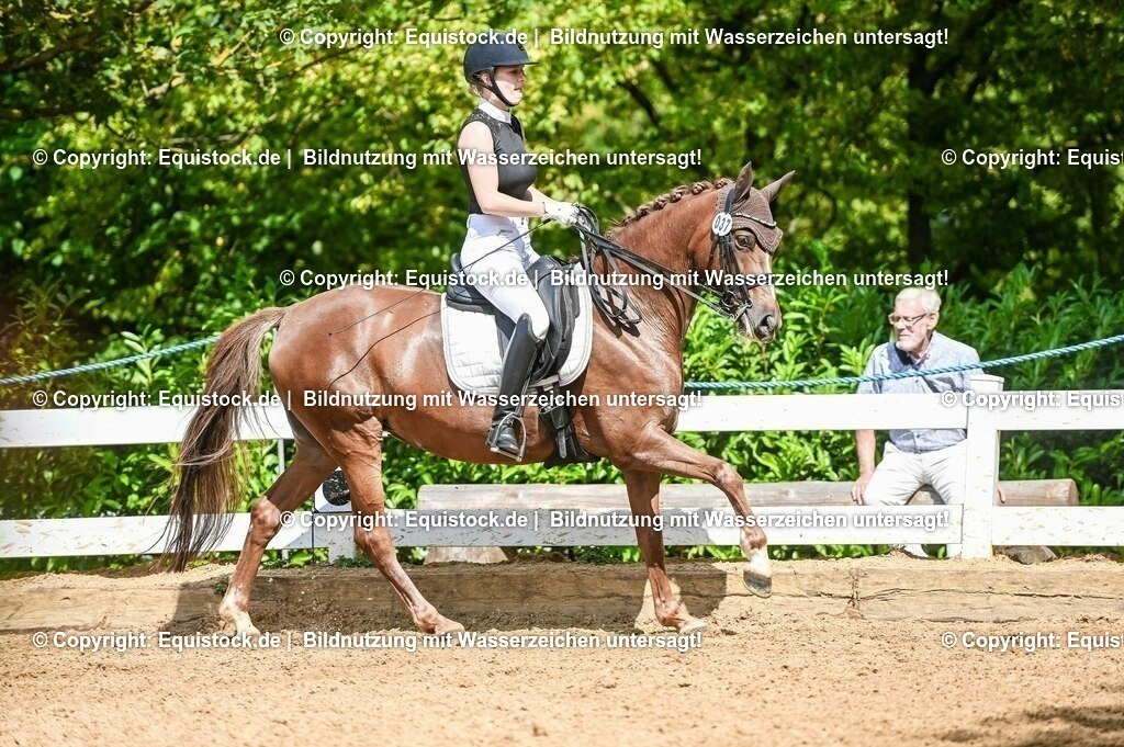 20230716_01_Dressurprüfung Kl.M_0344 | equistock